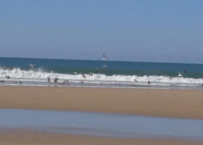 بيت للعطل Maison Landaise Renovee Avec Charme ليت إت ميكسي